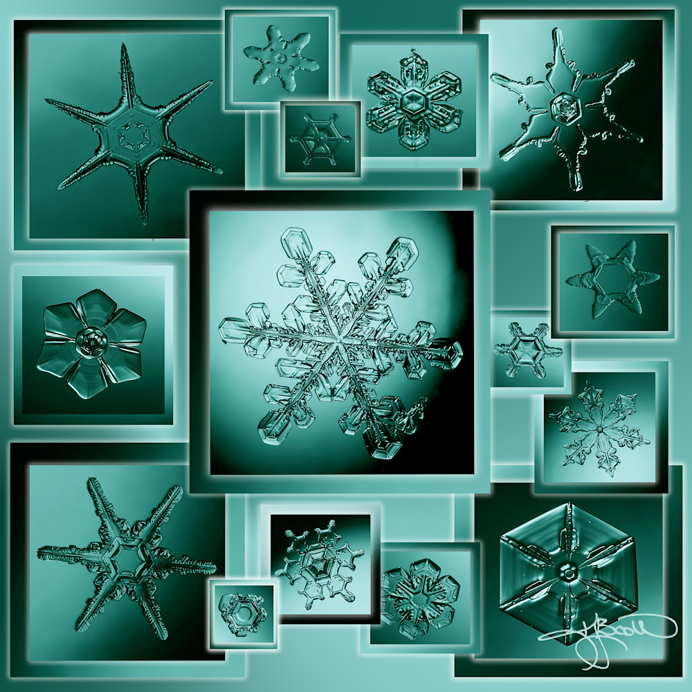 Snowflakecollageteal with signature jq0hqu