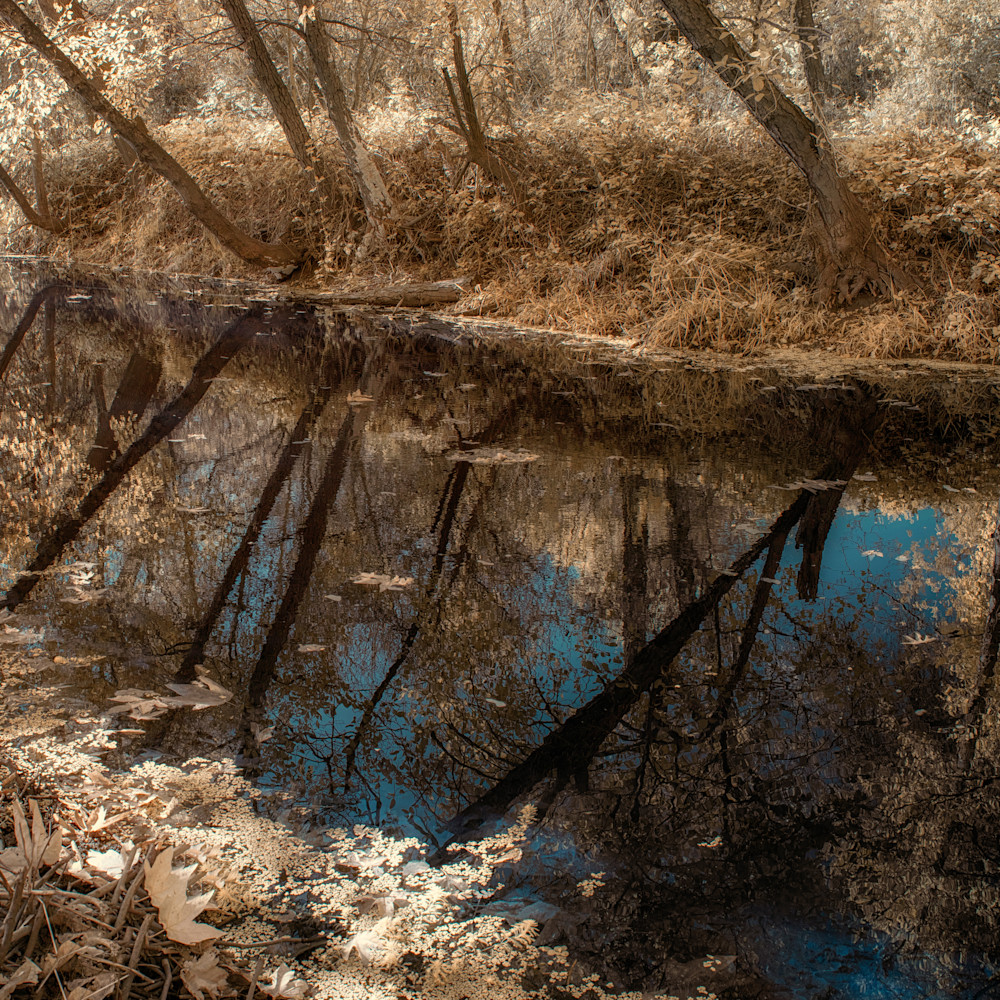 Little creek reflections.large nvib4t