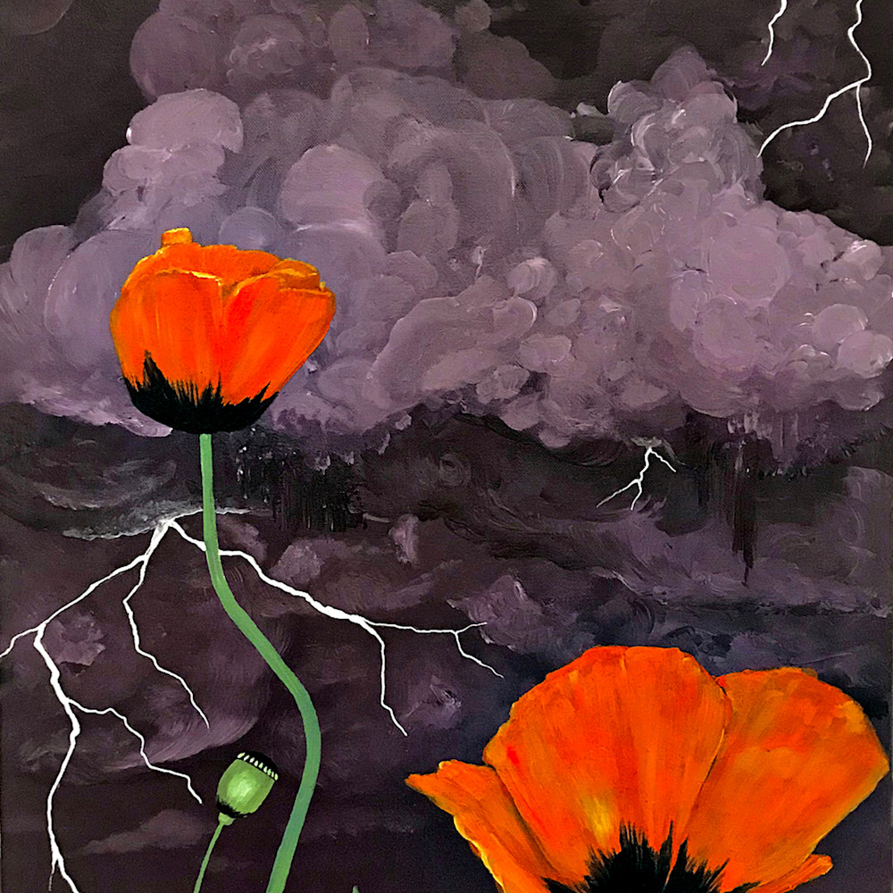 Poppies in the storm iii eztxvz