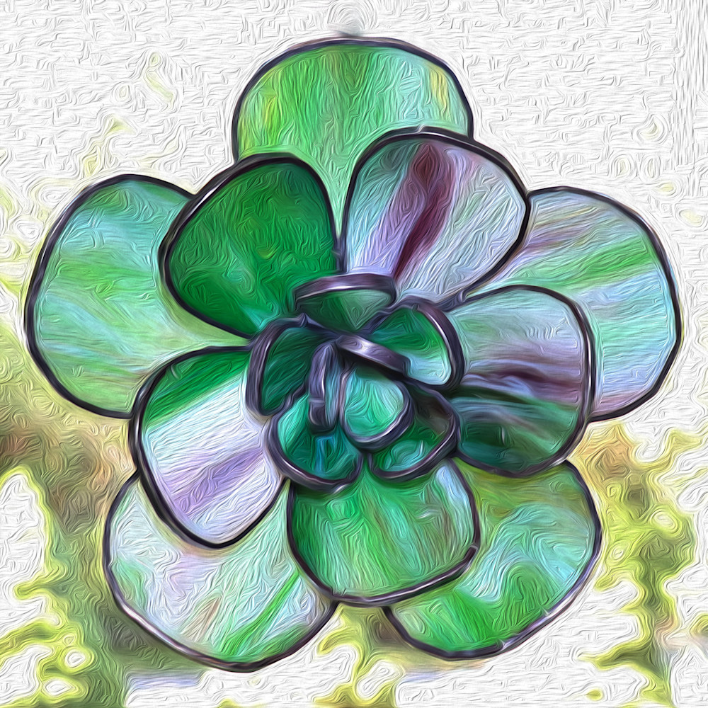 Bloom   green and purple r460ki