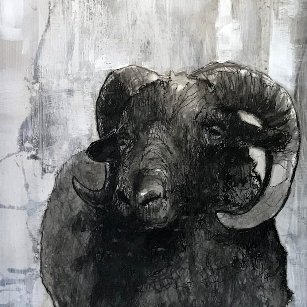 The ram from the dark wzke1q