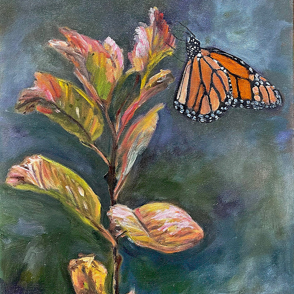Monarch on milkweed unframed copy rufqpy
