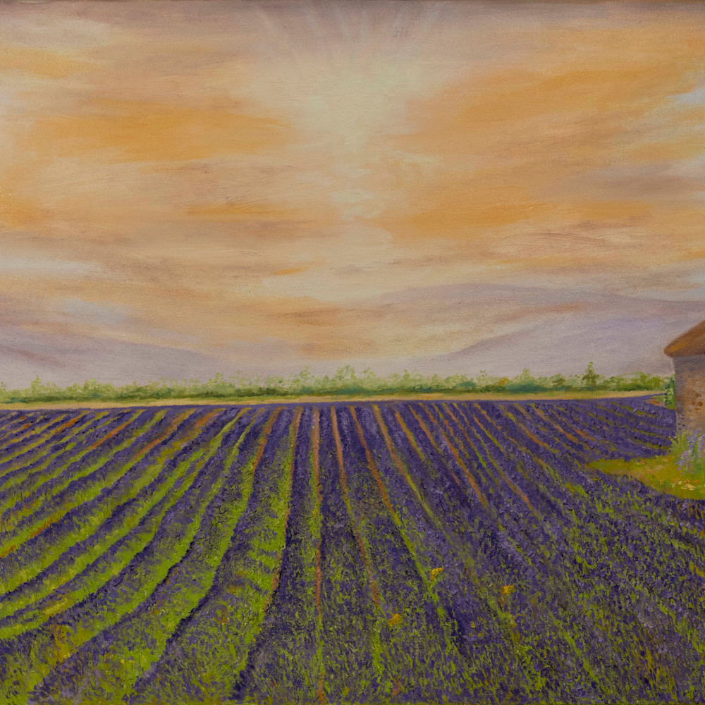 Lavender field bm4gar