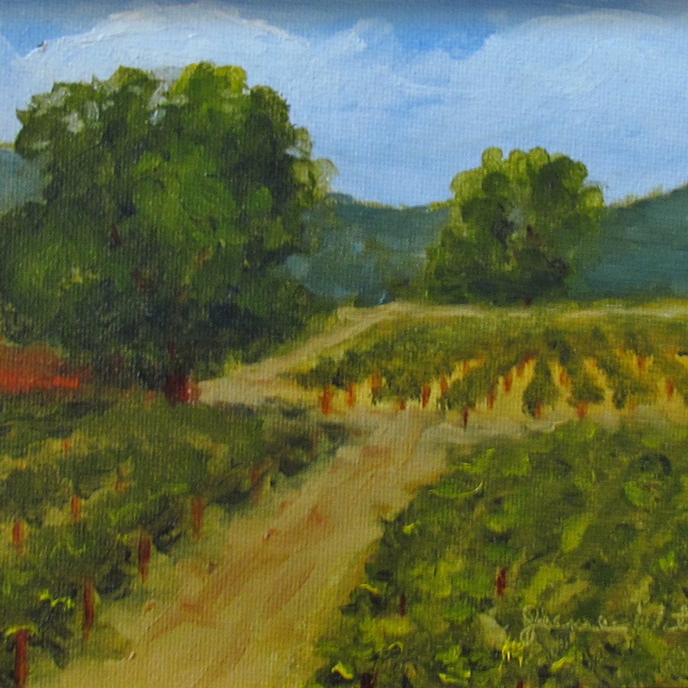 Walking path in the vineyard fonhjb
