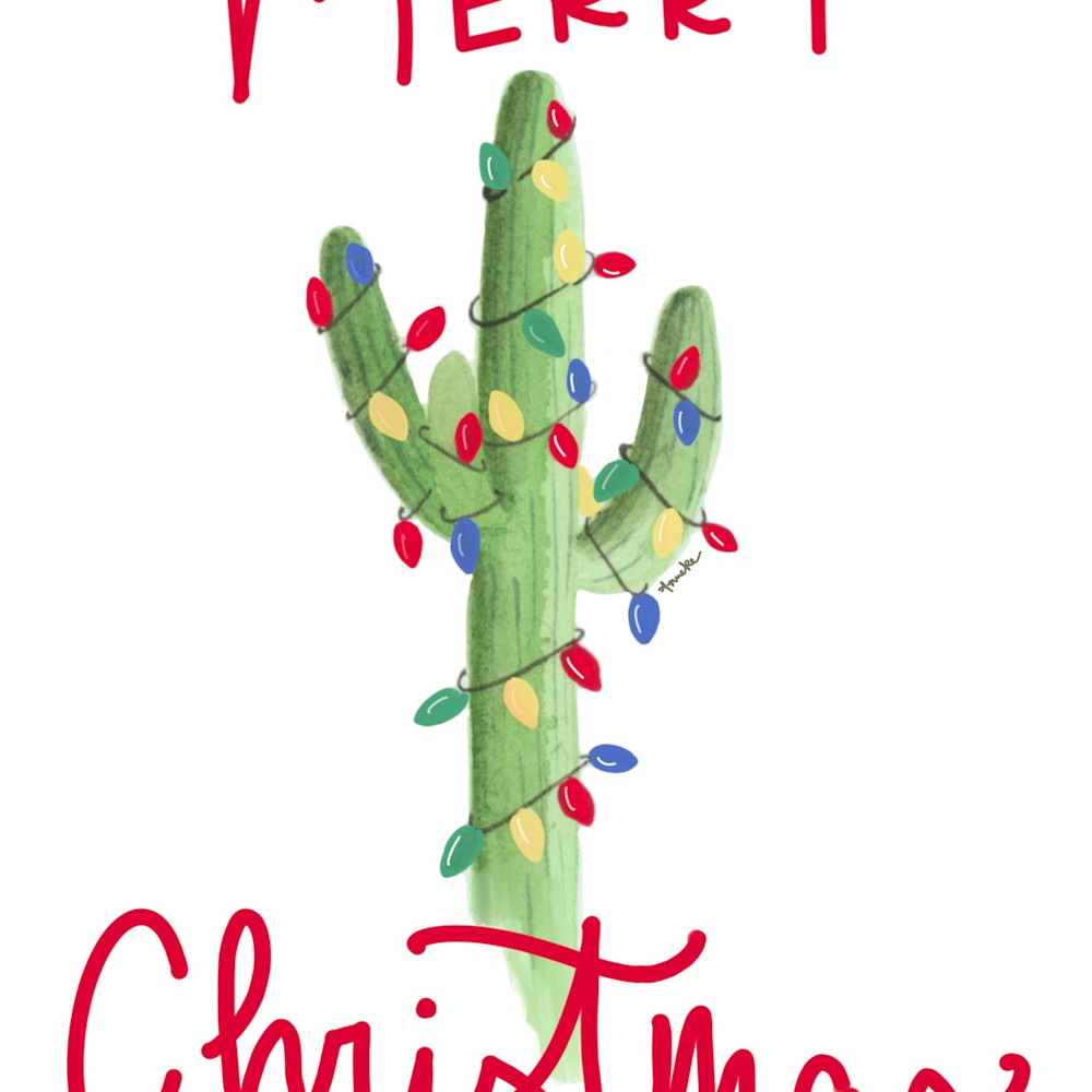 Christmas cactus  ra6niv