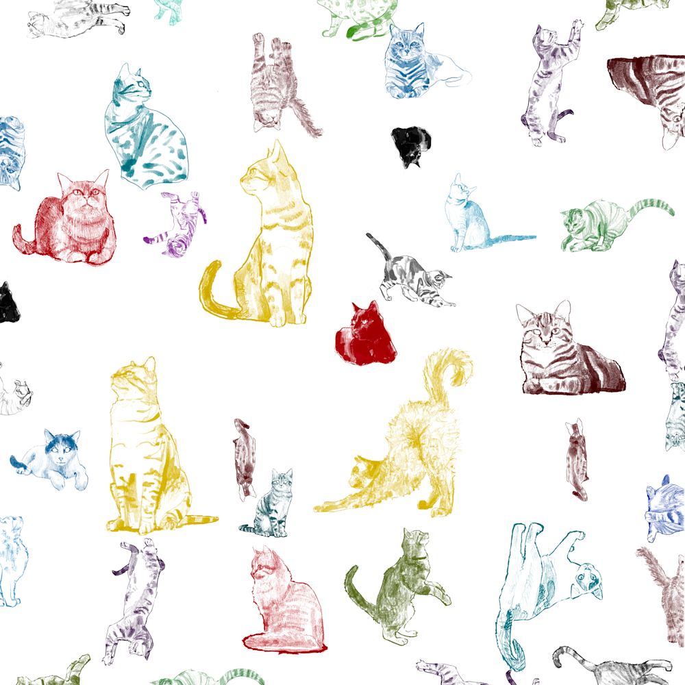 5 art kitty grid wsyowb