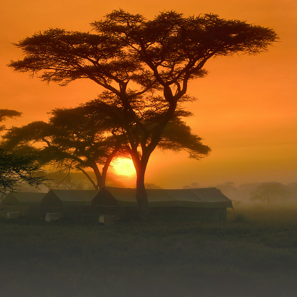Serengeti sunrise sn2xww