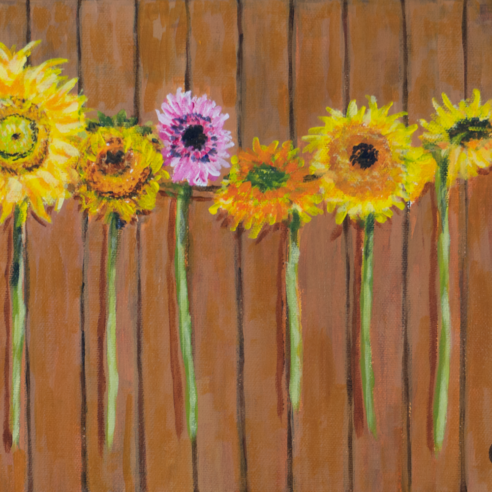 Sunflowers on fence dsc0489 vis3b0