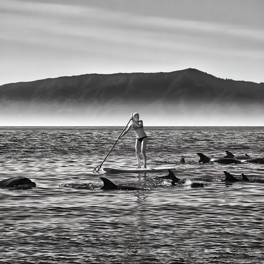 Jkp14 5676 paddle boarder with dolphins 4 gigapixel low res width 12239px podkay