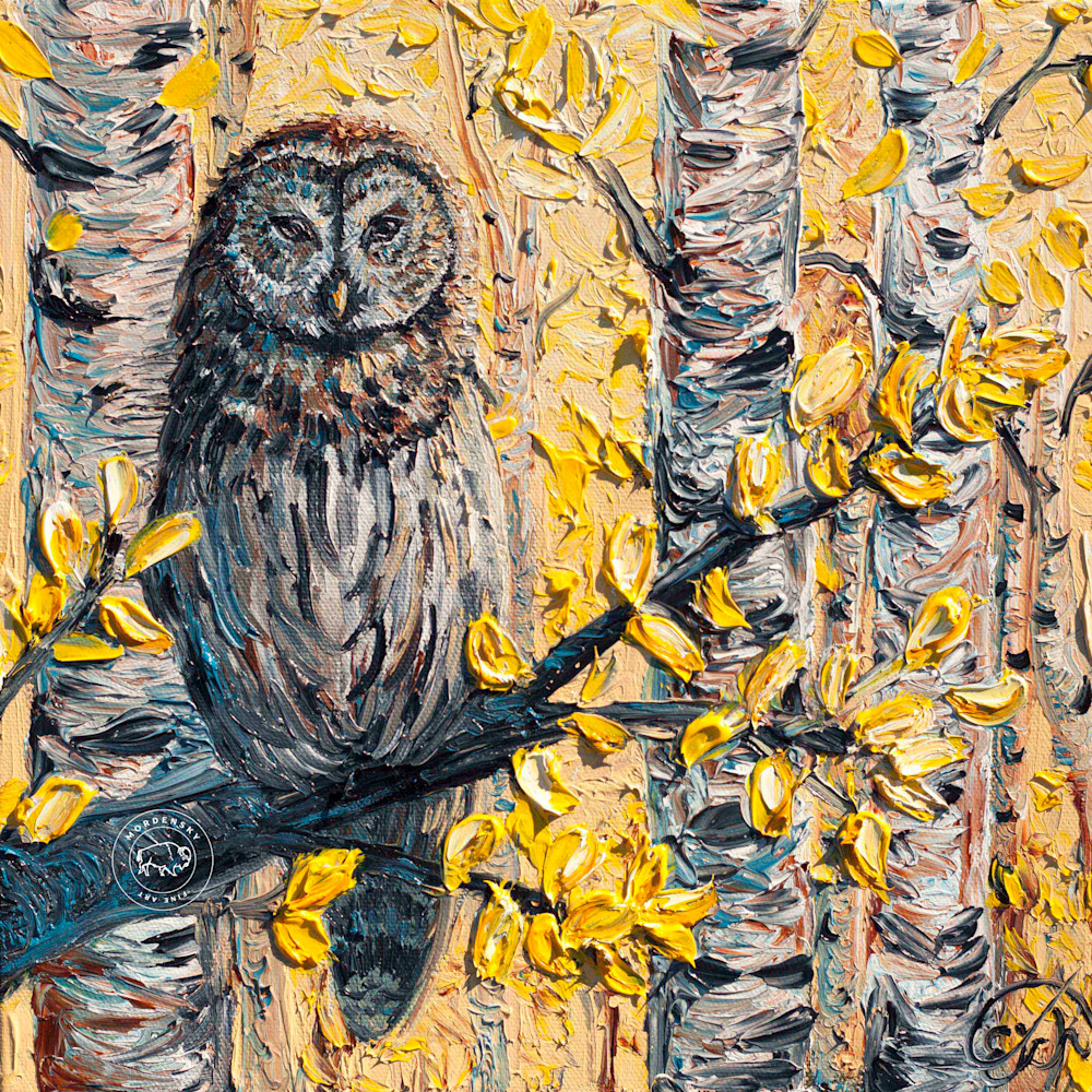 Barred owl in the aspens yhxcfc