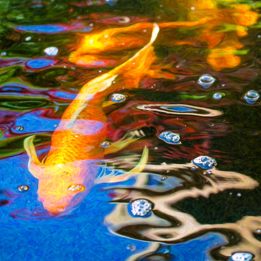 Koi pond fish   golden abstracts   by omaste witkowski akq8y5