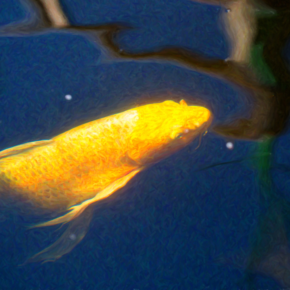 Koi pond fish   golden desires   by omaste witkowski tiicuy