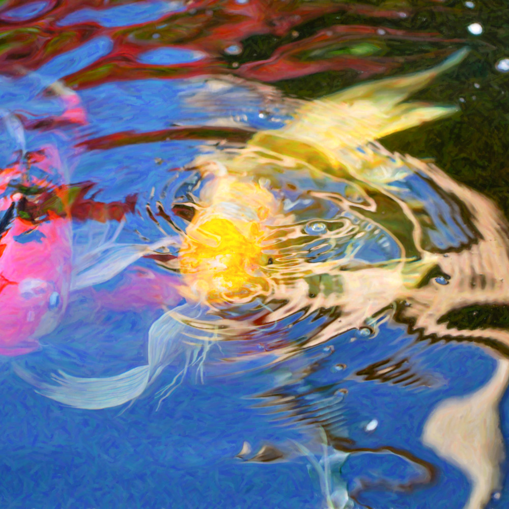 Koi pond fish   swirling emotions   by omaste witkowski t4oagx