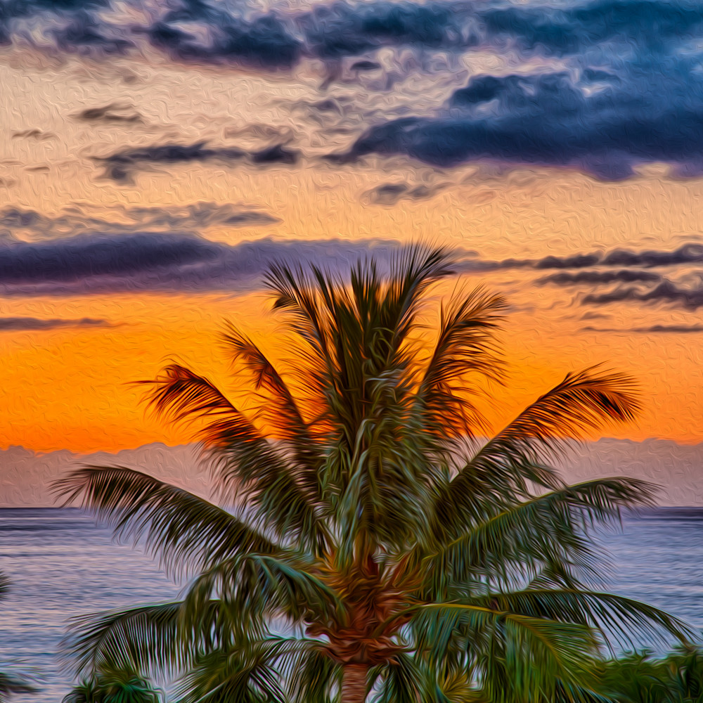 Sunsets   palm tree sunset   omaste witkowski hbvk4l