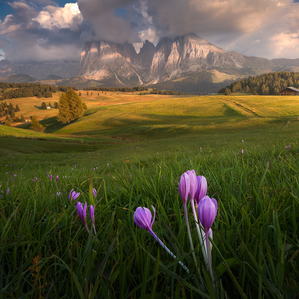 1. dolomites summer e2d9rm