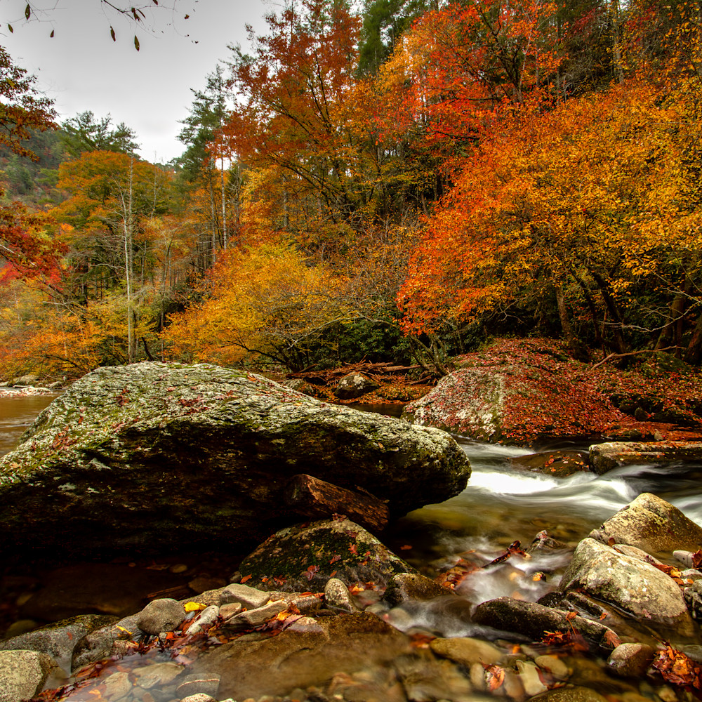 Little river in autumn thdkjx
