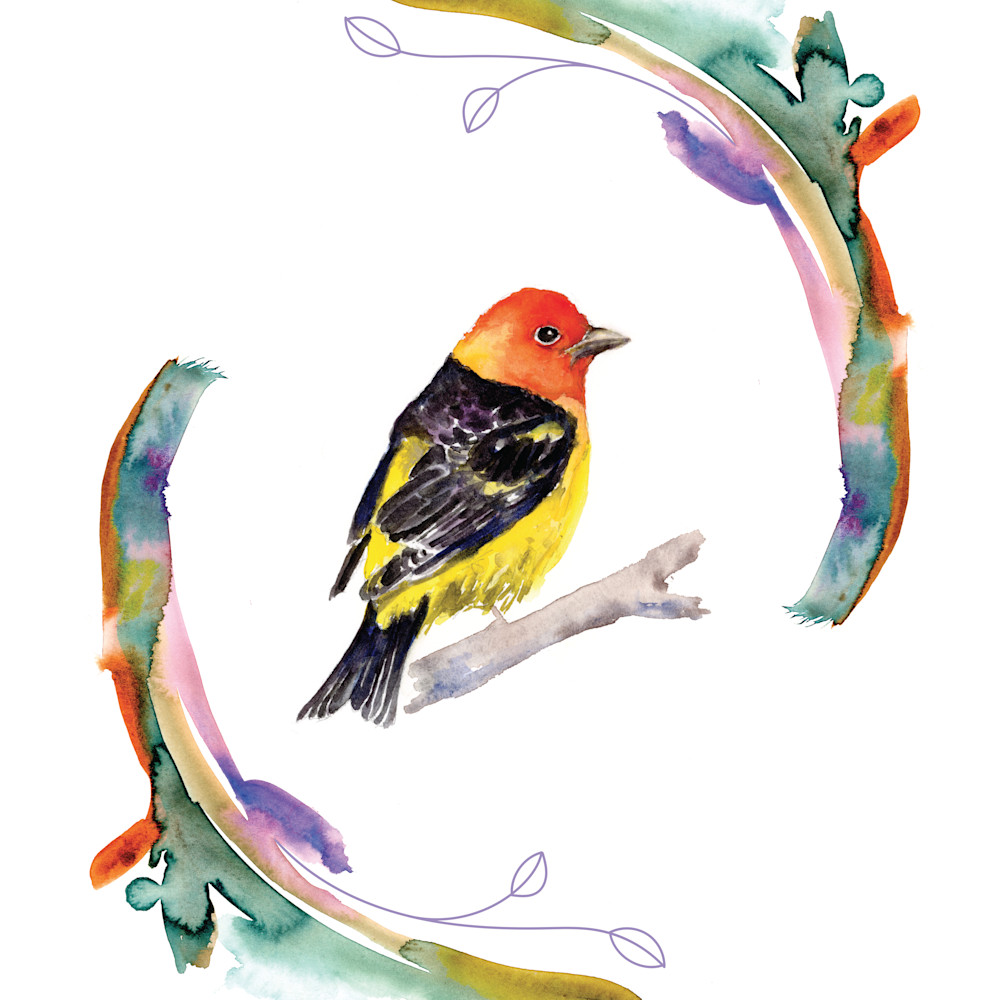 Andrea henning   western tanager rd6xo5