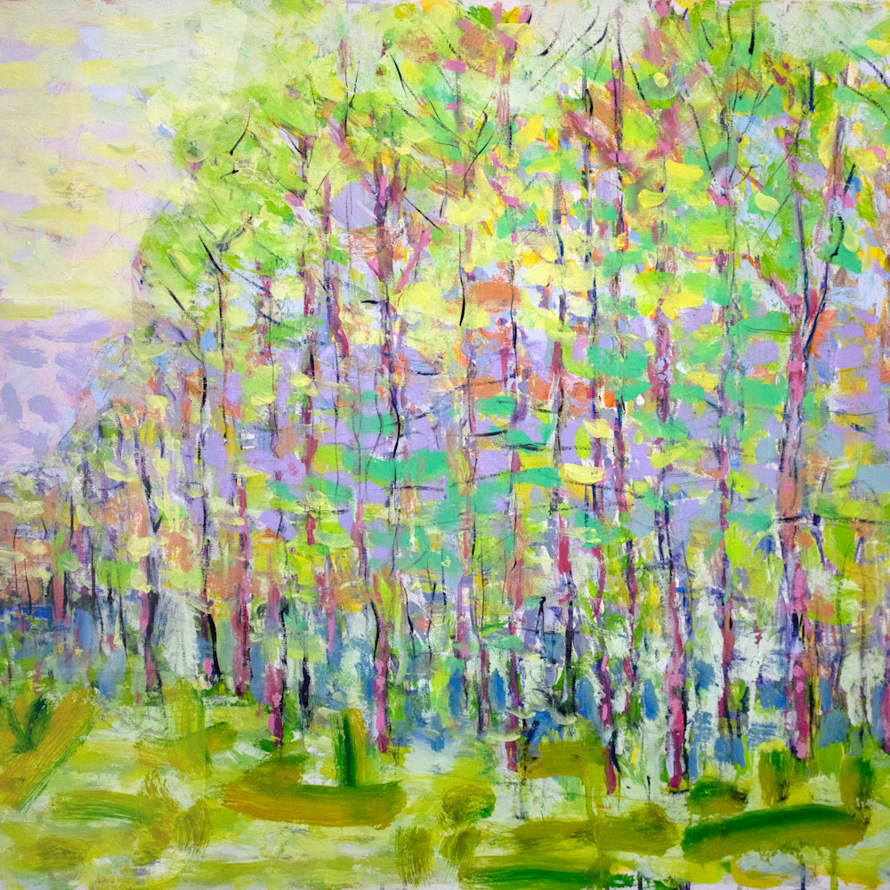  mg 1070 trees in spring 40x30 oil hr1lnf