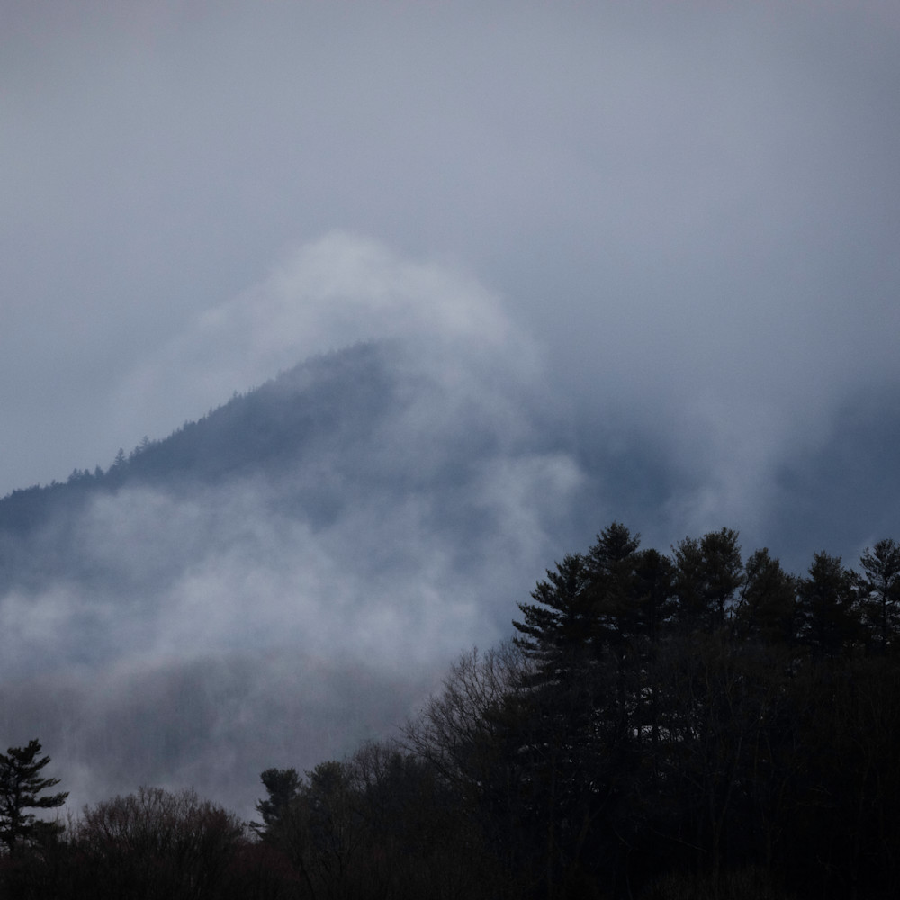 Mountain mist i qnbyqg