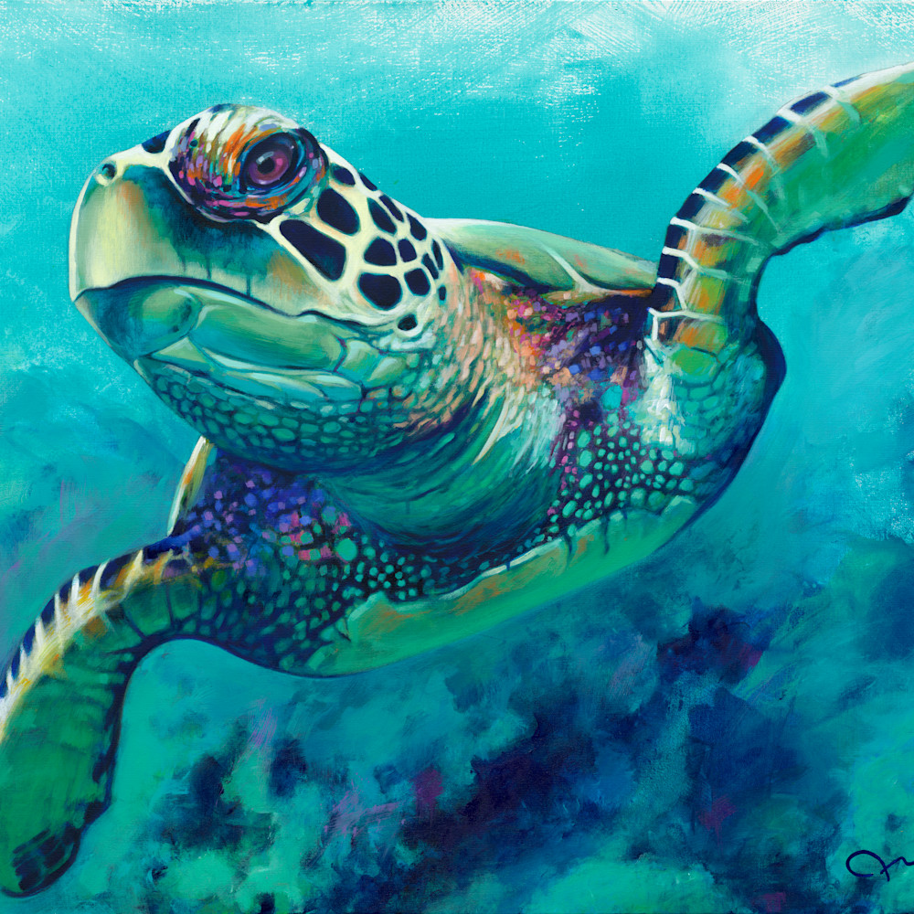 Turtle 48x36 adj gdb9h2