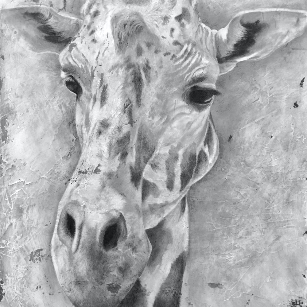 Tabitha benedict   giraffe 11x14 print ha4mnp