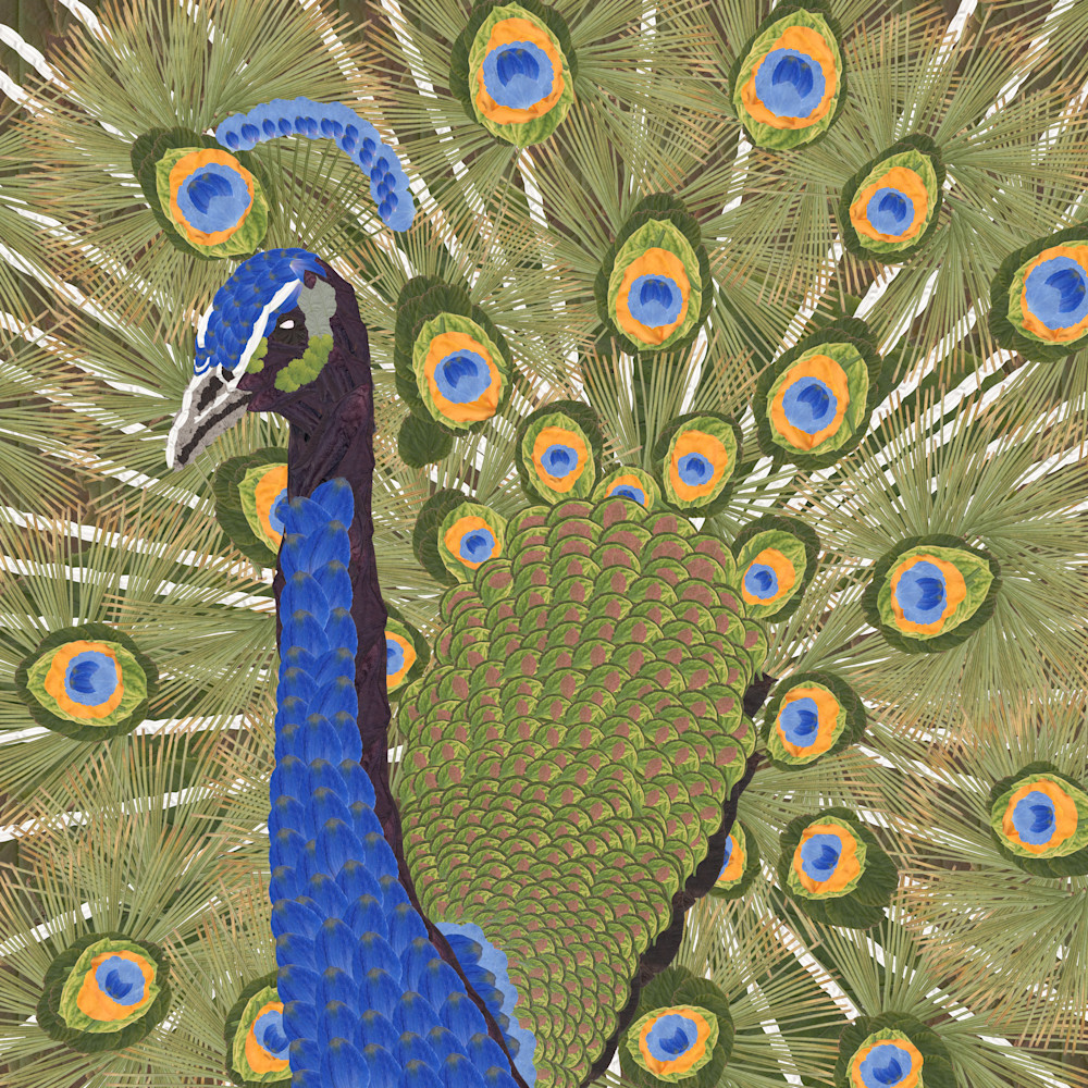 Peacock2 yrzmqt