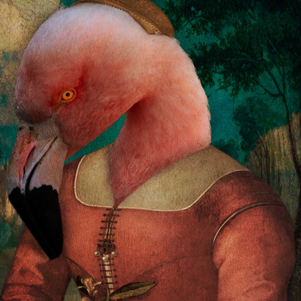Pink flamingo q5heqr