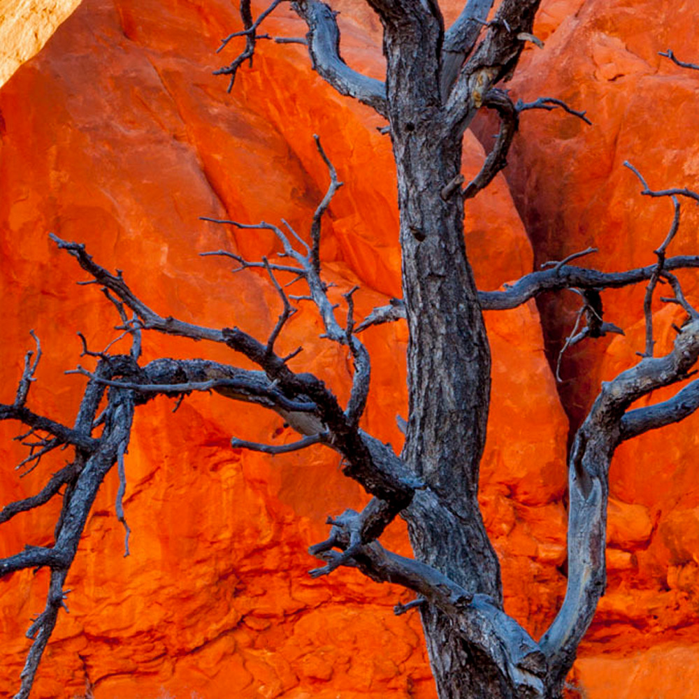 Billparis canyonland color 24w x 16h 1 of 2 luxkqs