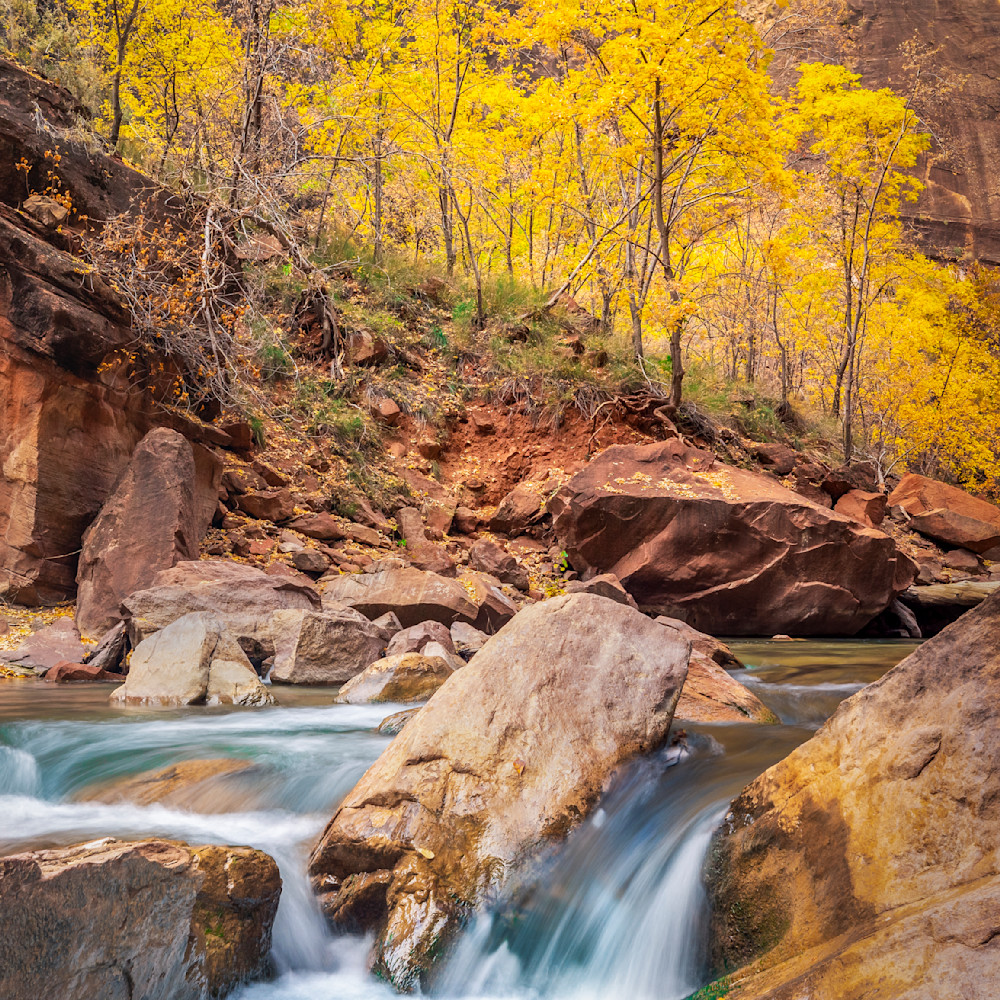 Zion narrows autumn waterfall asf copy gri47x