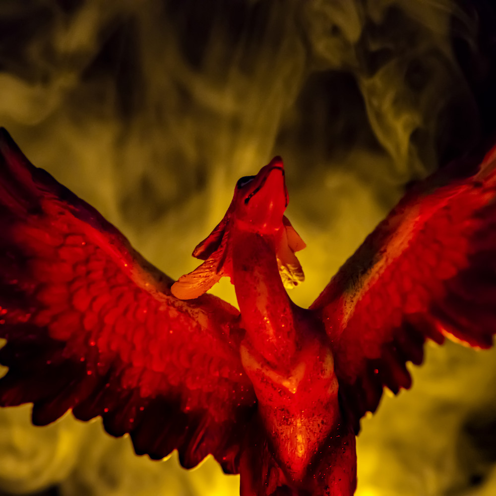 Phoenix rising ahafkg