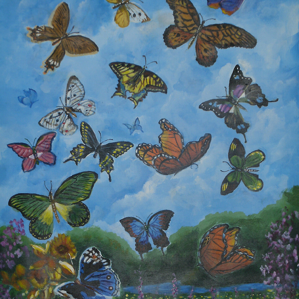 Butterflies are free pjp4jv