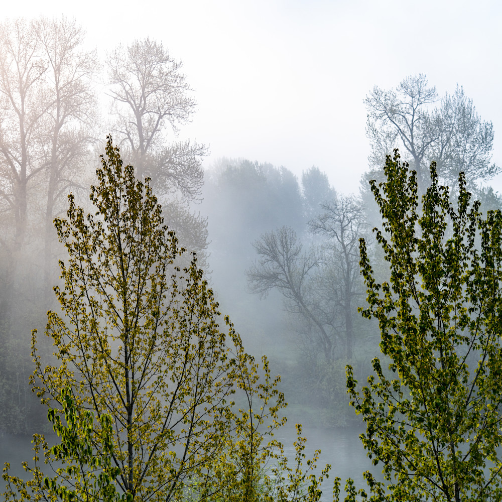 Misty spring morning on the willamette river lobsuu