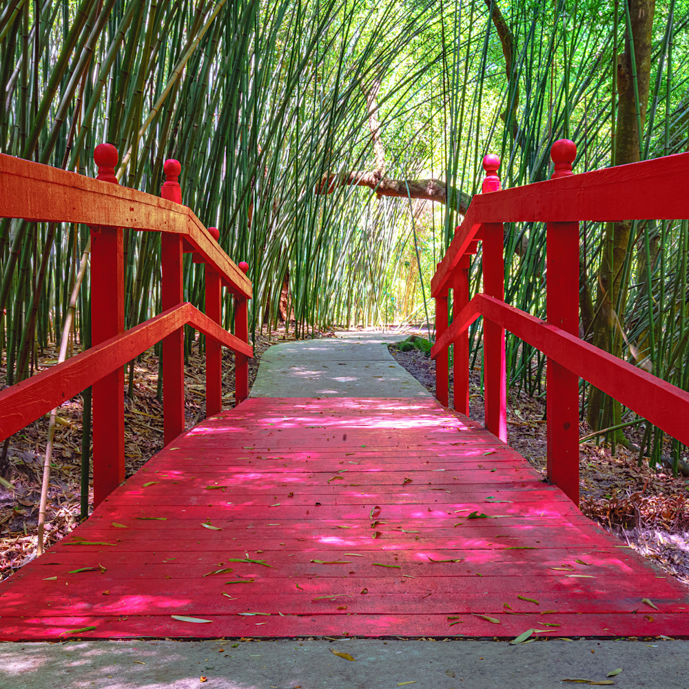 Red bridge and bamboo at kapanah gardens gainesville fl useq0r