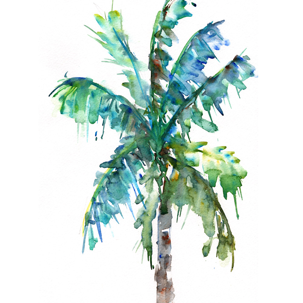 Palm tree 2 rhgw5h