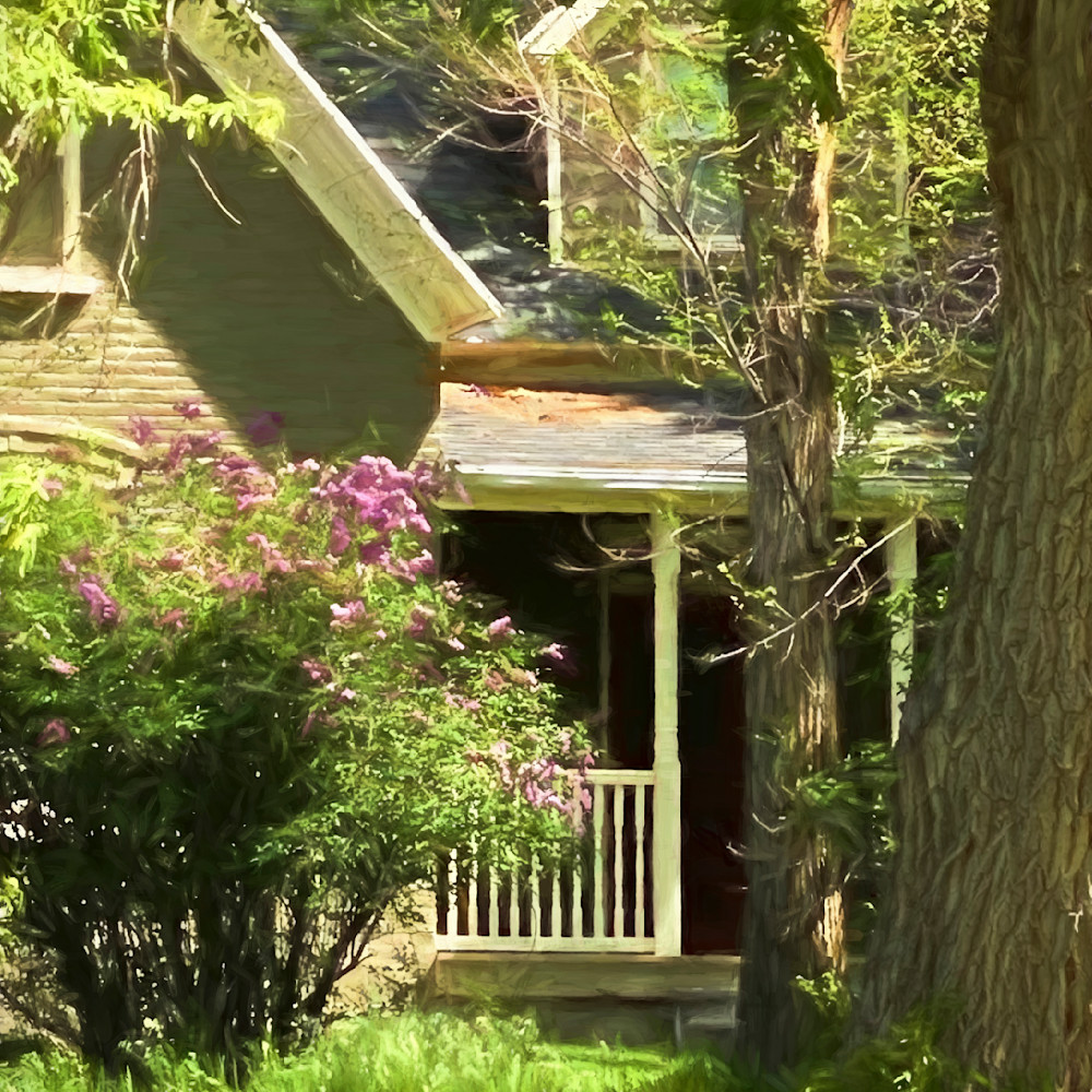 Lilacs and front porch mnkkcs