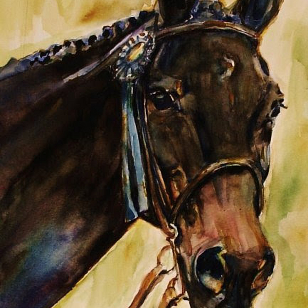 Abbey horse watercolor mplxl4