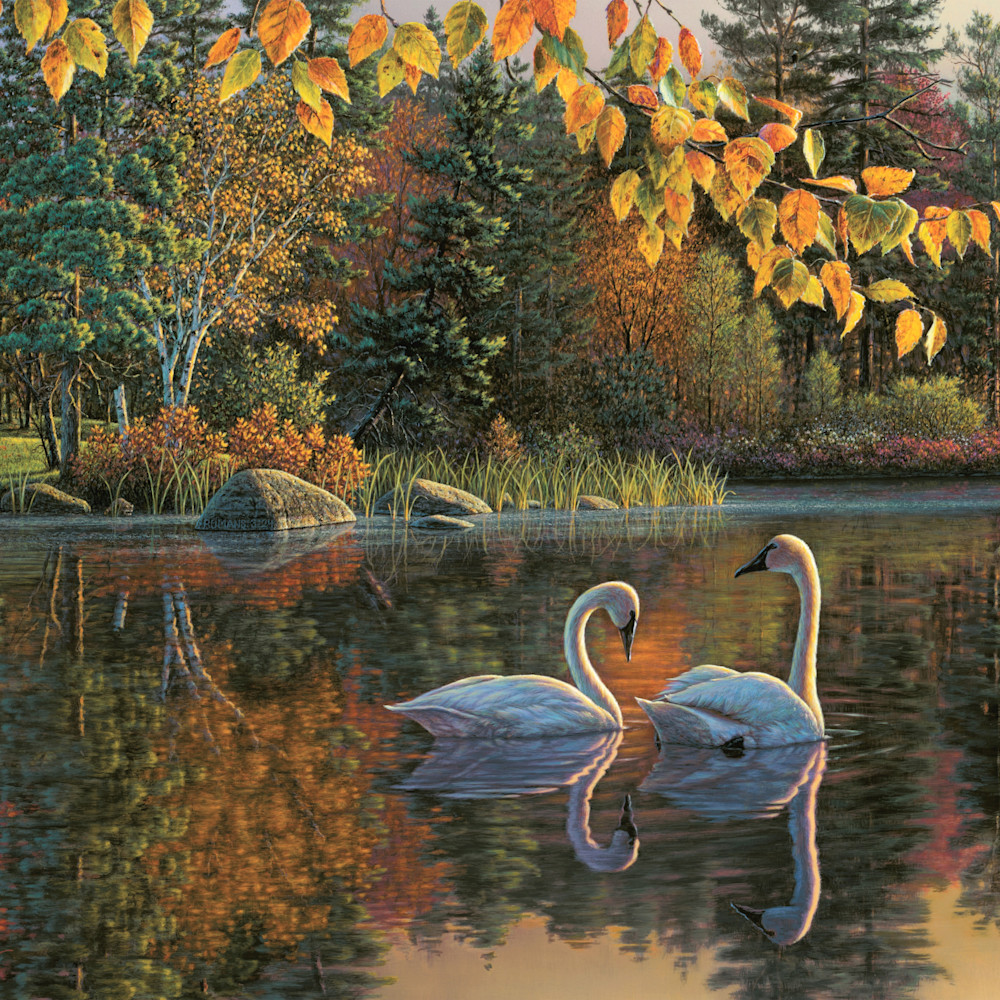 Asf autumn swans 24x18 07 lwrwla