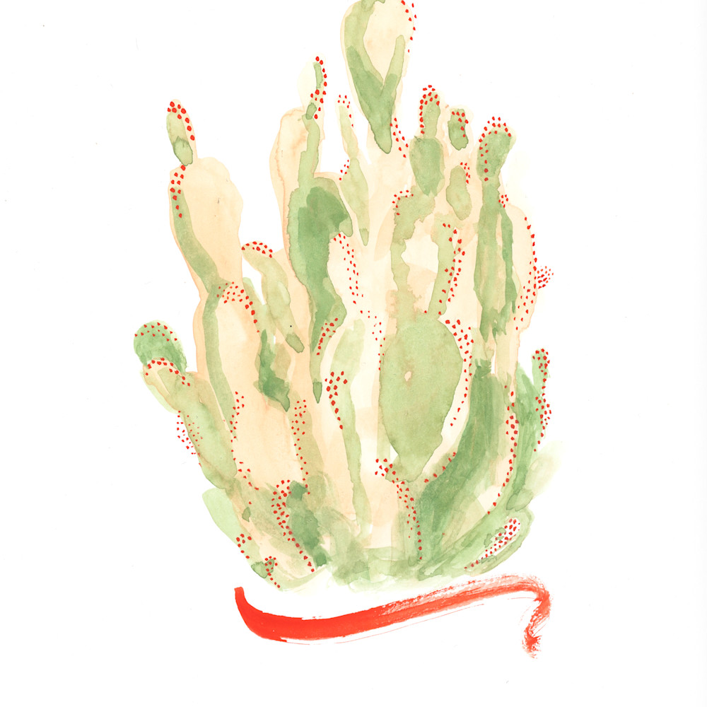Cactus 2 edited and ready ketchp