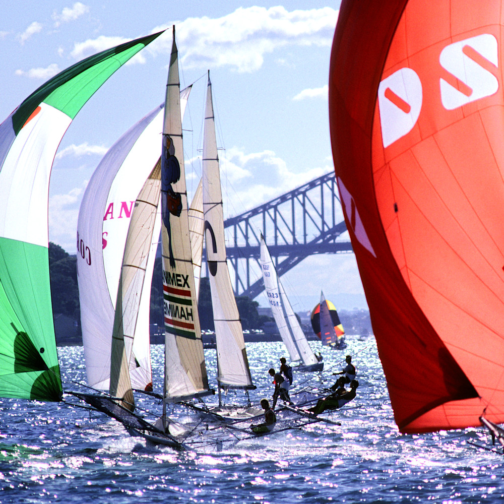 Sailboat racing on sydney harbour roger archibald ulqmwn