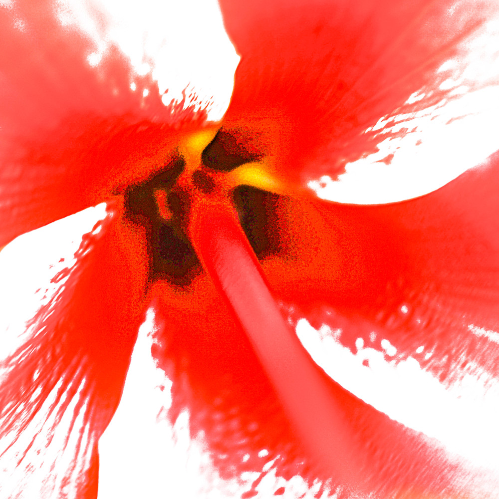 Red hibiscus cu wipeout ecyjae