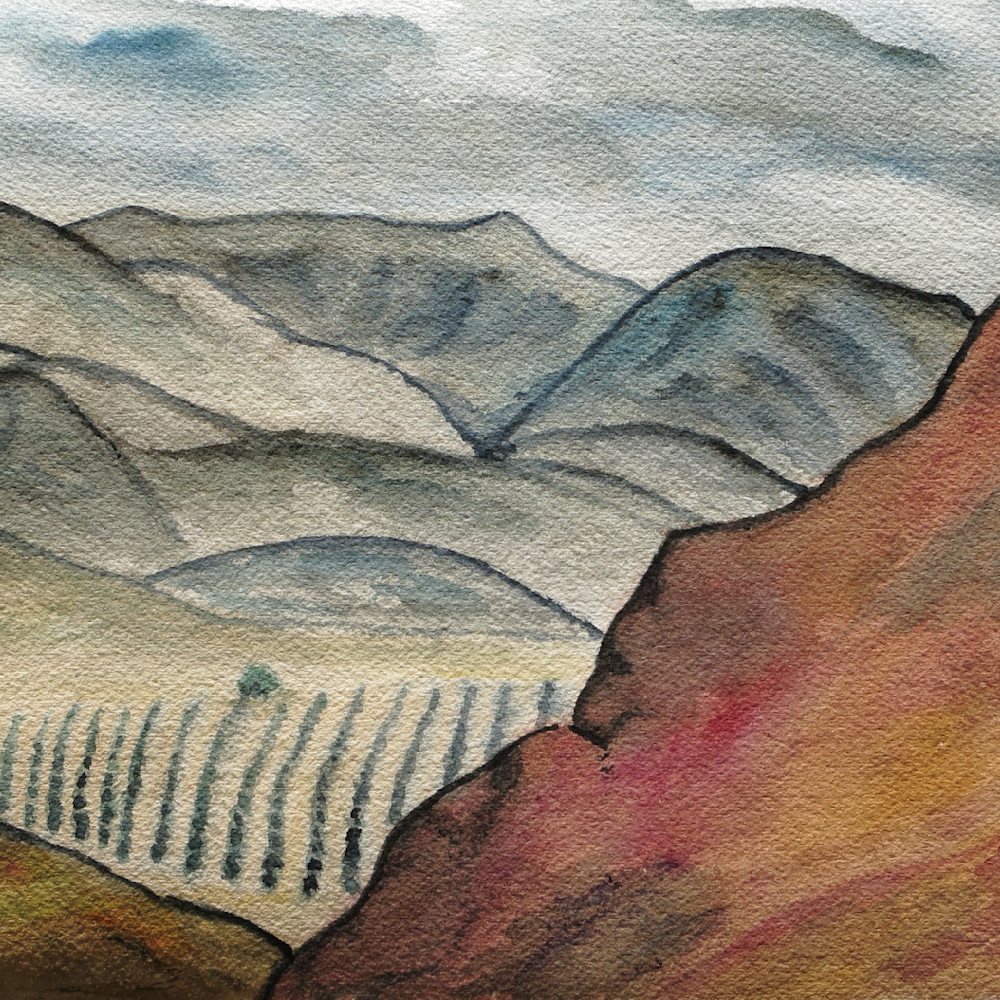 An orchard at the foot of the coastal range350 z3j3wp