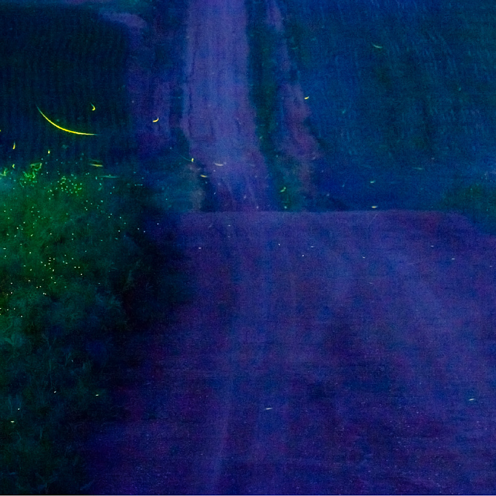 Fireflies uoto0a
