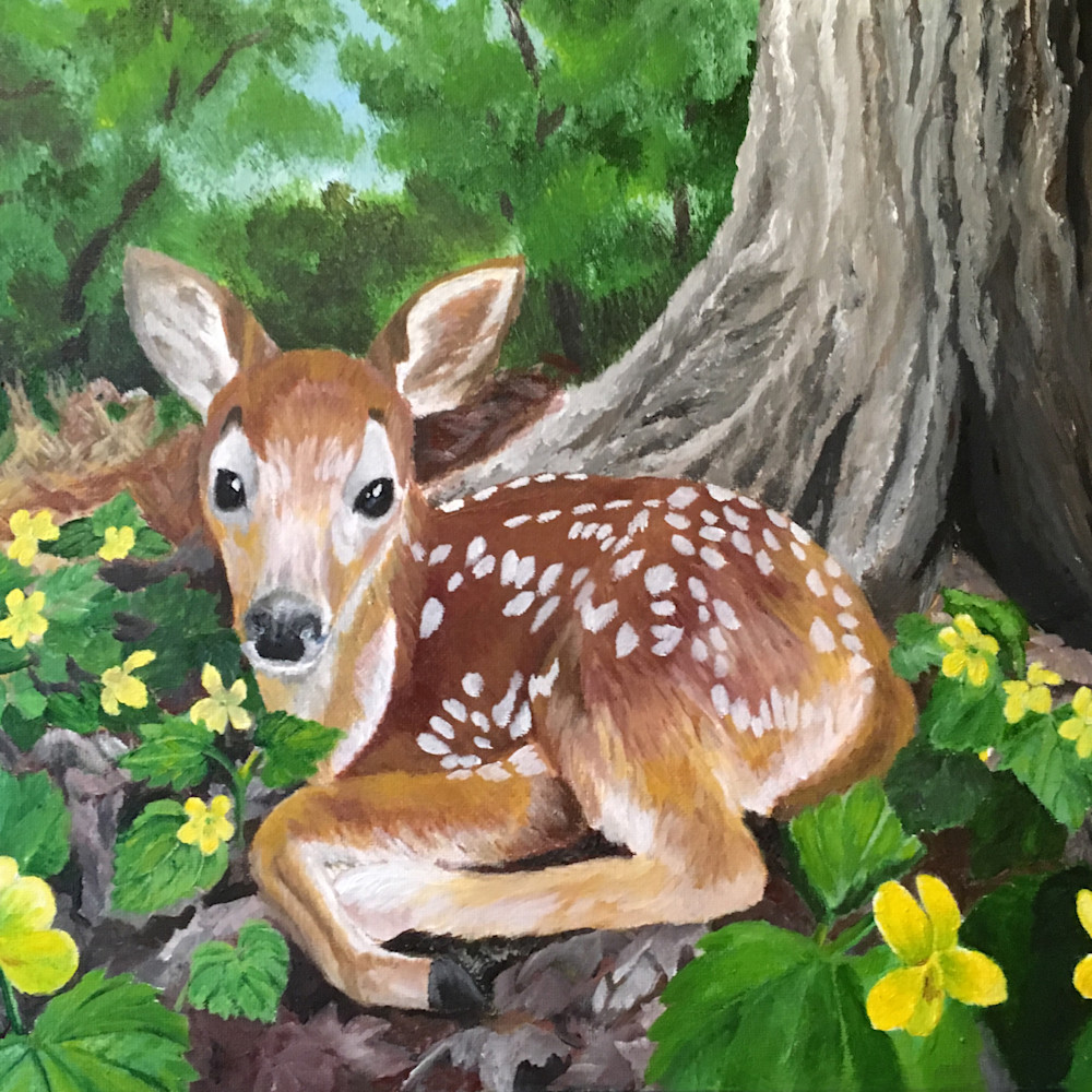 Fawn surrounded by yellow violets pvkole