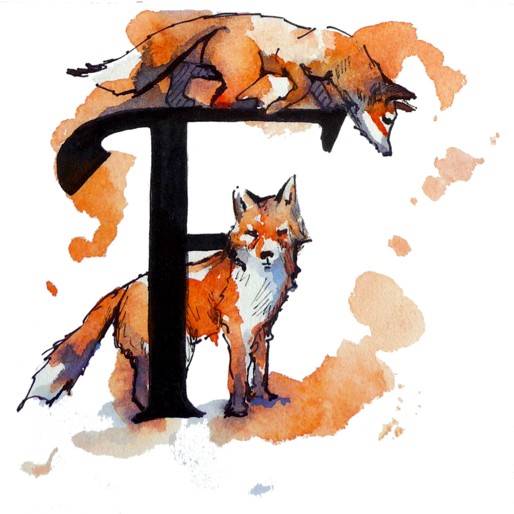 Fox jrbanx