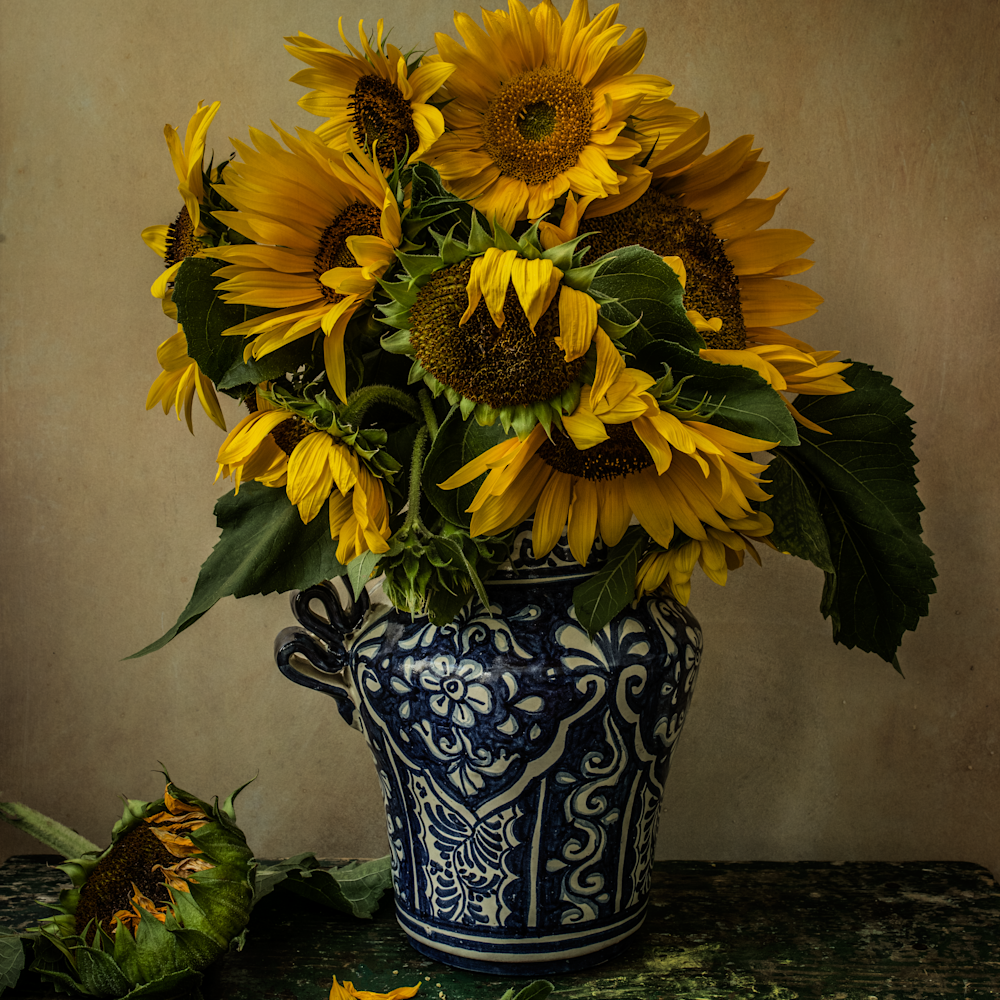 Sunflowers cxtlo5