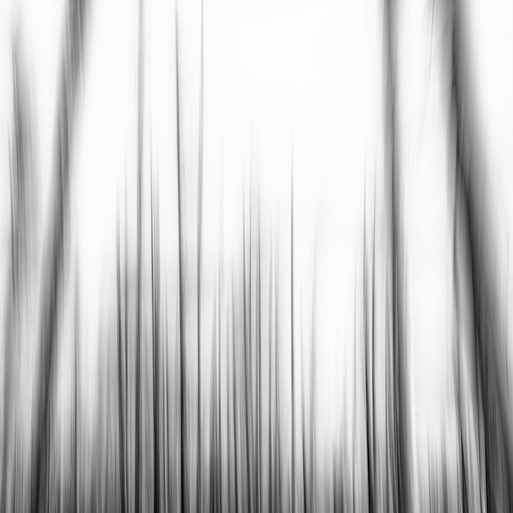 Burned forest abstract study 4 washington 2022 irdh5s