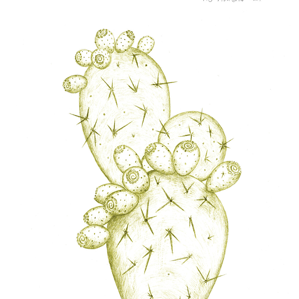 Prickly pear 16x20 yellow opklox