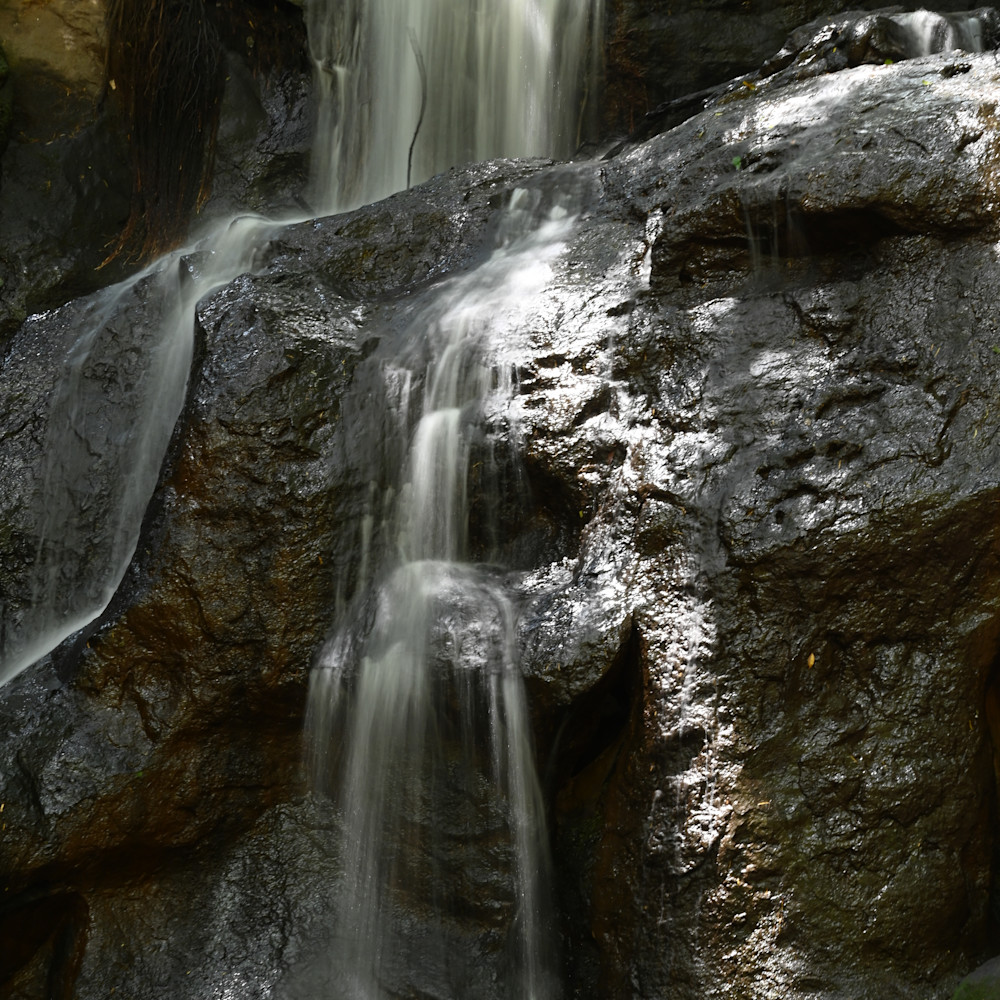Michael reinhart   sacred waterfall karura forest kenya lgetag