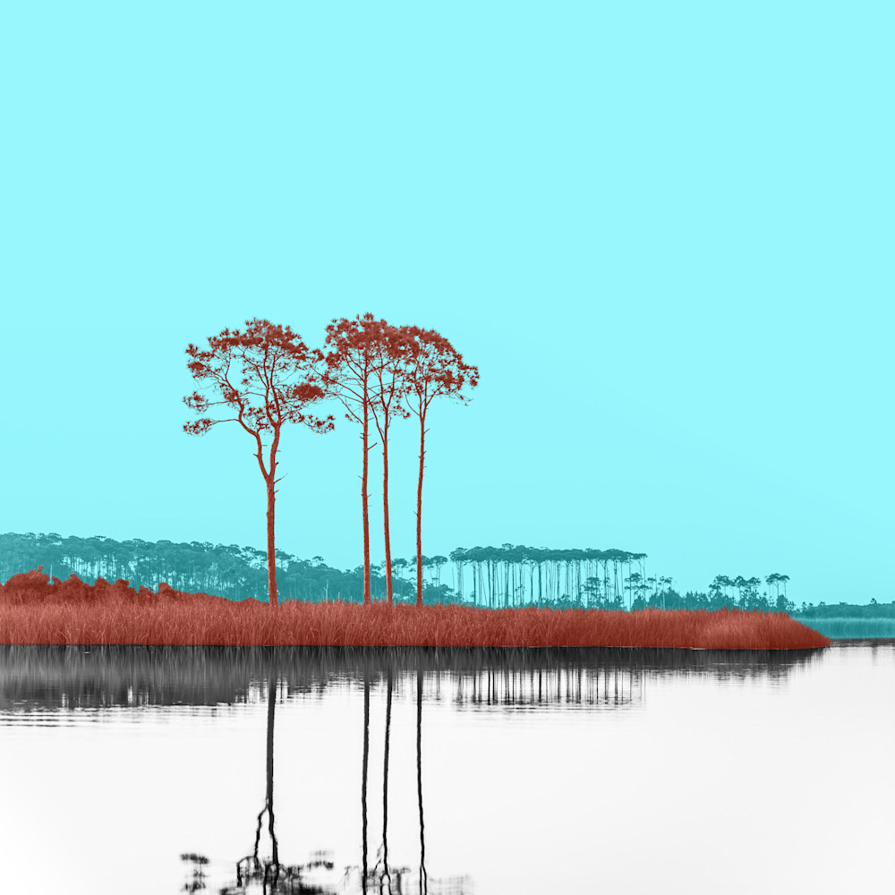 Warhol lake red reeds v1gy5e