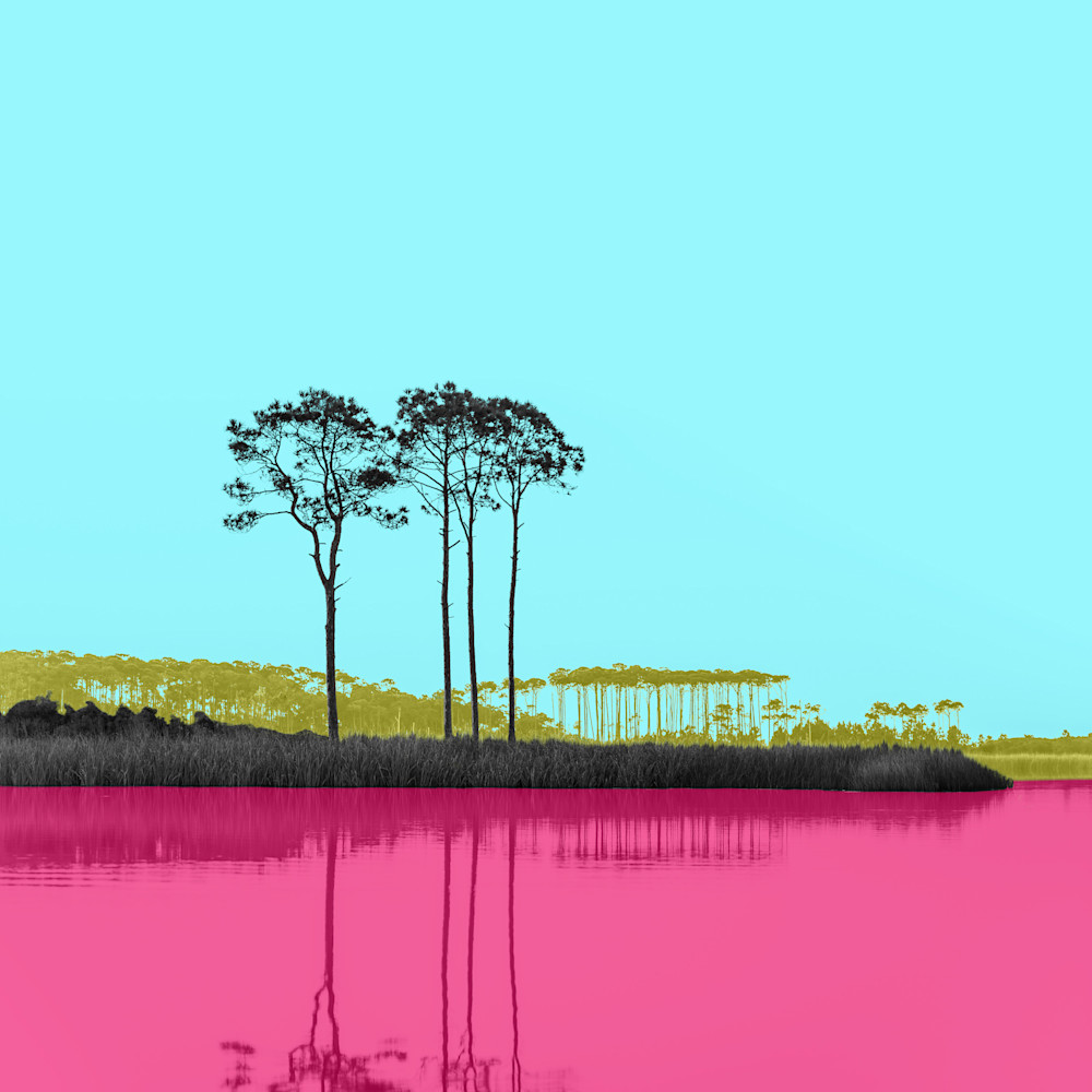 Warhol lake bright ymvhmy
